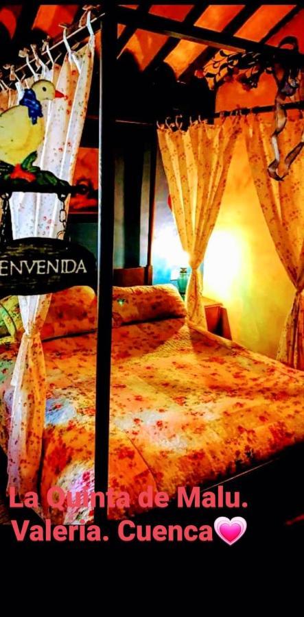 La Quinta De Malu Hotel Valeria Eksteriør billede